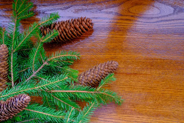 Ahşap Masa Üzerinde Koni Olan Noel Ağacı Dalları Noel Modeli — Stok fotoğraf