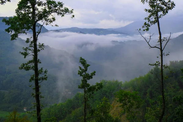 Floresta Montanhas Através Nevoeiro Céu Nublado Paisagem Montanha Verde Fundo — Fotografia de Stock