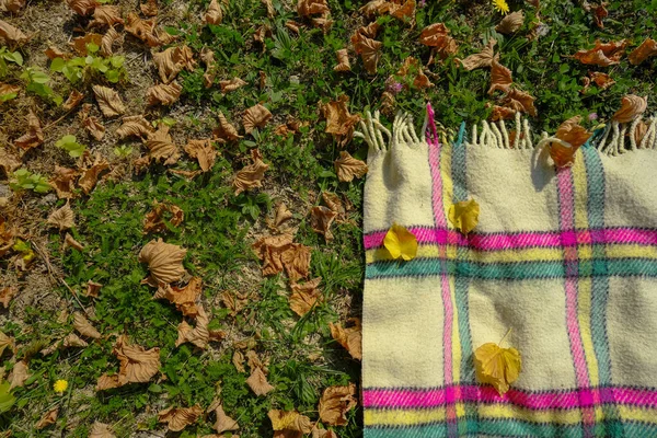 Der Winkel Der Karierten Decke Mit Fransen Auf Grünem Gras — Stockfoto