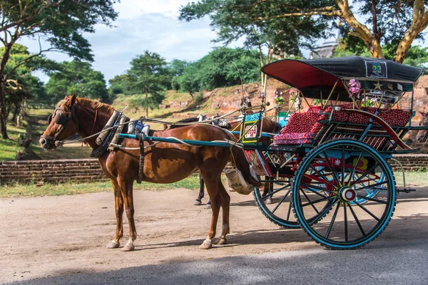 Cărucior Tradițional Cai Taxi Turistic Picioare Drum Murdărie Bagan Myanmar — Fotografie, imagine de stoc