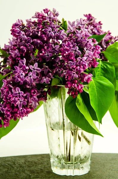 Cam bir vazoda, arka planda bir demet leylak..