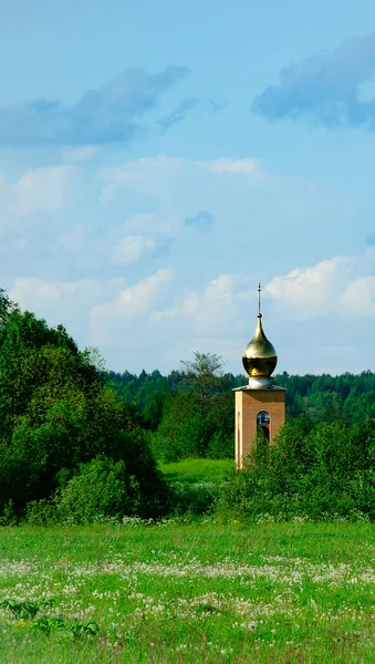  Açık gökyüzüne karşı yeşil ormanlar arasında Ortodoks kilisesi. Dikey biçim.