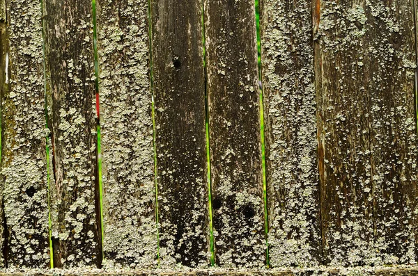 La consistenza di un vecchio recinto ricoperto di licheni. — Foto Stock