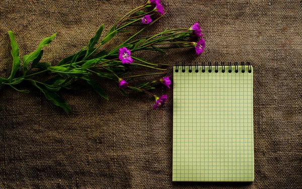 Sarı defter ve mor çiçekler. 1