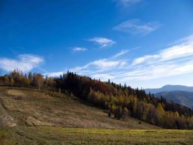 renkli orman ve mavi gökyüzü ile dağ sonbahar manzarası