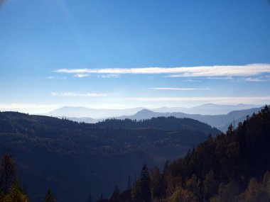 renkli orman ve mavi gökyüzü ile dağ sonbahar manzarası