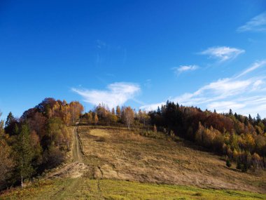 renkli orman ve mavi gökyüzü ile dağ sonbahar manzarası