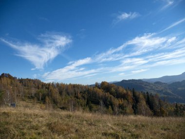 renkli orman ve mavi gökyüzü ile dağ sonbahar manzarası