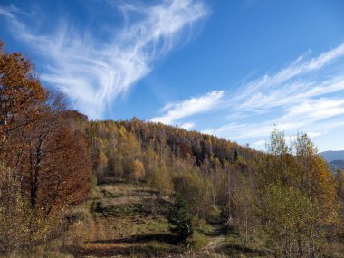 renkli orman ve mavi gökyüzü ile dağ sonbahar manzarası