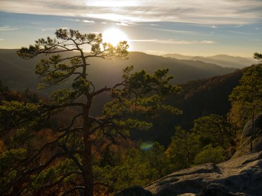 renkli orman ve mavi gökyüzü ile dağ sonbahar manzarası