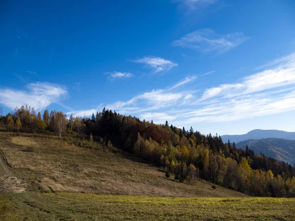 renkli orman ve mavi gökyüzü ile dağ sonbahar manzarası