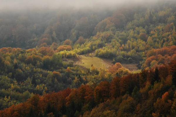 Die Bergige Herbstlandschaft Mit Bunten Wäldern Und Blauem Himmel — Stockfoto