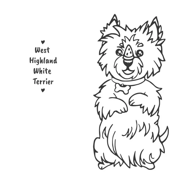 West Highland White teriér sedí na zadních nohách a drží kus dobroty na nos — Stockový vektor