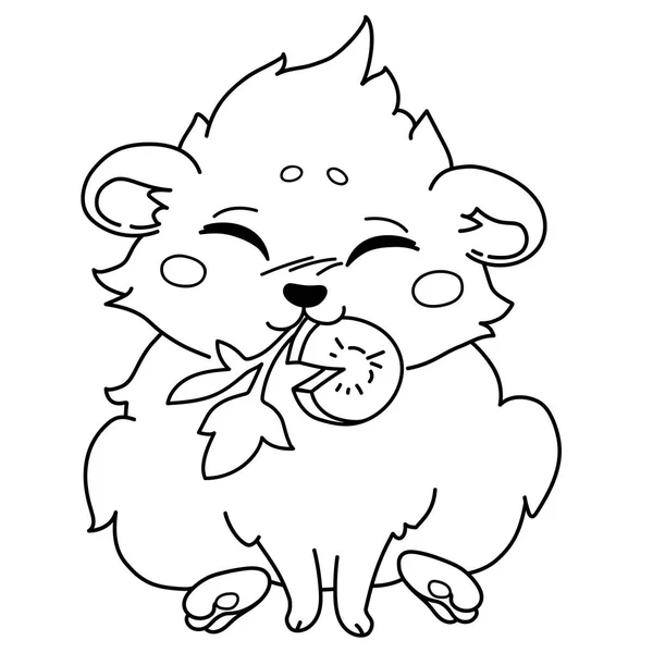 Komik kavy havuç ve yeşillik yiyor.