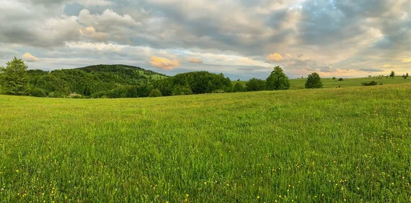 Tájkép Fotózás Mező Drámai Háttérben — Stock Fotó