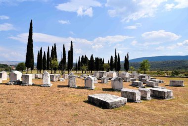 Stolac, Bosna-Hersek - 08 08 2020: Steci Ortaçağ Mezar Taşları Stolac 'ta.