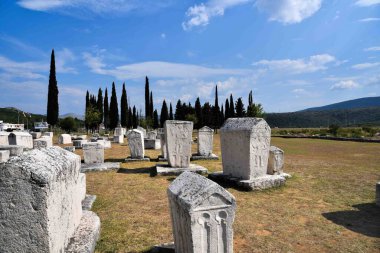 Stolac, Bosna-Hersek - 08 08 2020: Steci Ortaçağ Mezar Taşları Stolac 'ta.