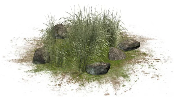 白色背景下砂区花岗岩石之间的粗草 — 图库照片