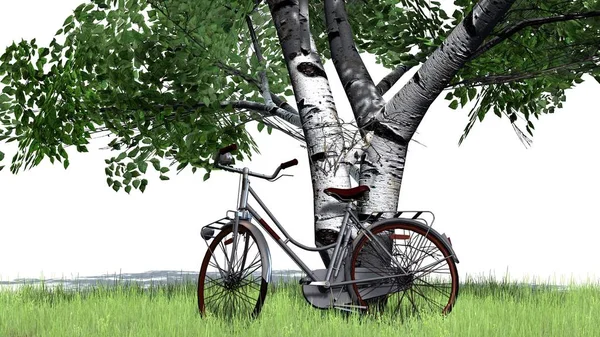 Vélo Est Debout Côté Arbre Séparé Sur Fond Blanc — Photo