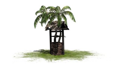 Eski de palm - beyaz arka plan üzerinde izole