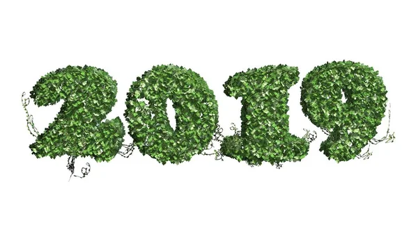 Anno 2019 Con Riflessioni Illustrazione Numero Anno 2019 Anno Nuovo — Foto Stock