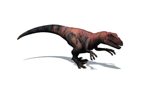 Dinosaurio Velociraptor Depredador Dos Patas Con Cola Larga Rígida Aislado — Foto de Stock