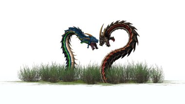 Beyaz arka plan üzerinde izole ot - Dragon solucanlar