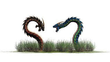 Beyaz arka plan üzerinde izole ot - Dragon solucanlar