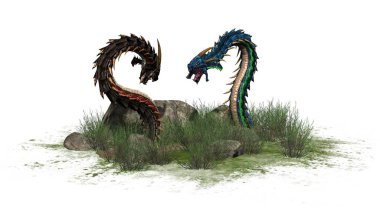 Çim taşları çevresinde - izole üzerinde beyaz arka plan ile de Dragon solucan