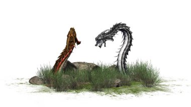 Çim taşları çevresinde - izole üzerinde beyaz arka plan ile de Dragon solucan