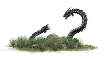 Çim taşları çevresinde - izole üzerinde beyaz arka plan ile de Dragon solucan