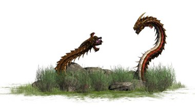Çim taşları çevresinde - izole üzerinde beyaz arka plan ile de Dragon solucan