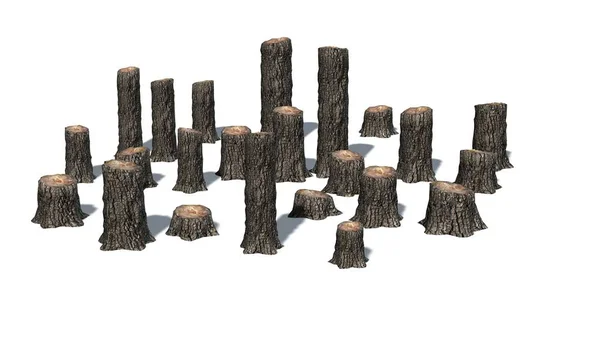 Muitos Vários Tocos Árvore Com Sombra Chão Isolado Fundo Branco — Fotografia de Stock