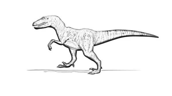 Δεινόσαυρος Βελοσιράπτορας Μολύβι Σχέδιο Απομονωμένο Λευκό Φόντο — Φωτογραφία Αρχείου