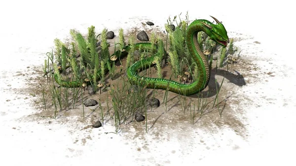 Zöld Kígyó Fűben Egy Homokos Területen Elszigetelt Fehér Background — Stock Fotó