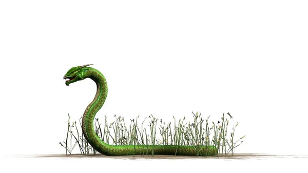 Zöld Kígyó Fűben Egy Homokos Területen Elszigetelt Fehér Background — Stock Fotó