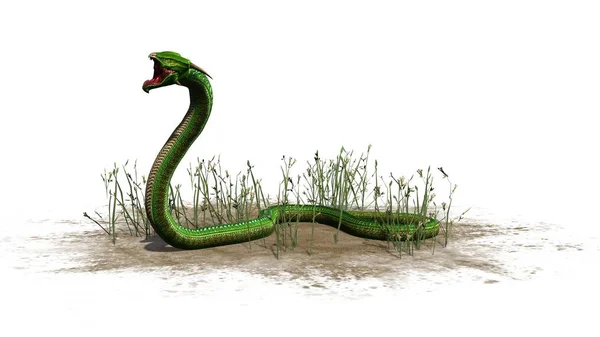 Serpent Vert Dans Herbe Sur Une Zone Sable Isolé Sur — Photo