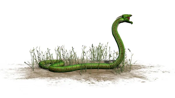 在沙地区域的草的绿色蛇 查出在白色背景 — 图库照片