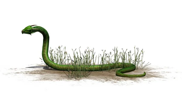 Зеленая Змея Траве Песке Изолированы Белом Фоне — стоковое фото