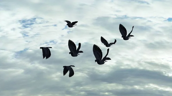 Group Flying Pigeons Isolated Sky Background — Stock Photo, Image