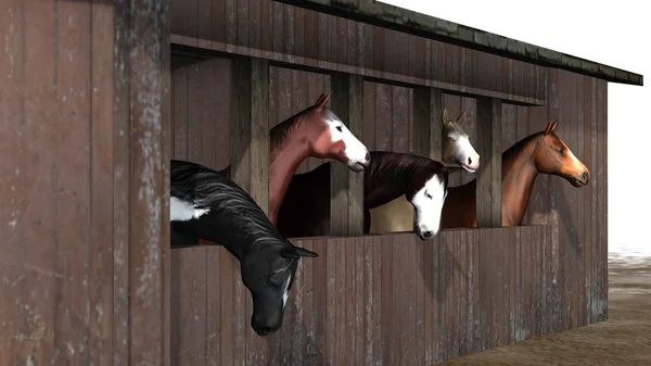 Pferde Stall Detailansicht Isoliert Auf Weißem Hintergrund — Stockfoto