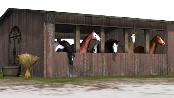 Pferde Stall Auf Einer Grünen Fläche Isoliert Auf Weißem Hintergrund — Stockfoto