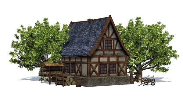 Średniowieczny Domek Między Drzewami Widok Przodu Izolowane Białym Tle — Zdjęcie stockowe