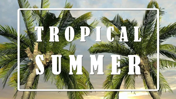 Texto Verano Tropical Palmeras Sobre Fondo Del Cielo Concepto Fiesta — Foto de Stock