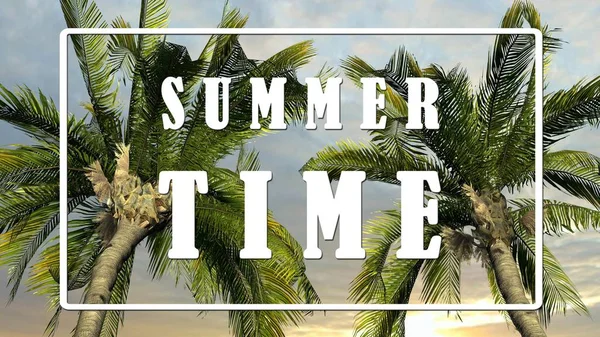 Text Summer Time Palm Trees Sky Background Tropical Holiday Concept — Stock Photo, Image
