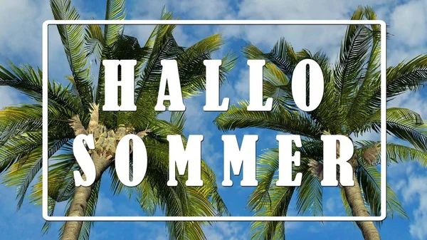 Text Hallo Sommer Palmen Vor Blauem Himmel Tropisches Urlaubskonzept — Stockfoto