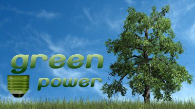 ağaç-ekoloji konsepti ile yeşil güç metni-mavi gökyüzü arka planda izole