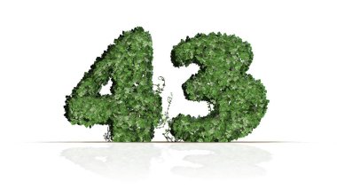 Sayı 43 yeşil sarmaşık yaprakları oluşturuldu-beyaz bir arka planda izole