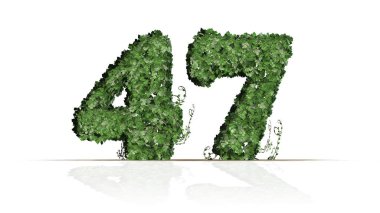 Sayı 47 yeşil sarmaşık yaprakları oluşturuldu-beyaz bir arka planda izole