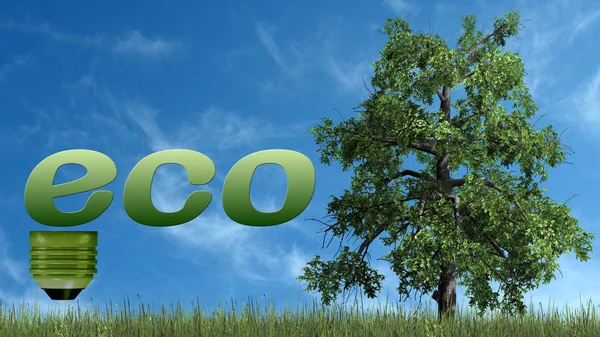 Eco Texto Com Árvore Conceito Ecologia Isolado Fundo Céu Azul — Fotografia de Stock